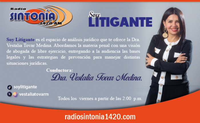 SOY LITIGANTE_WEB